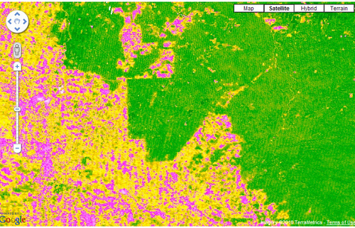 Google.org's Earth Engine